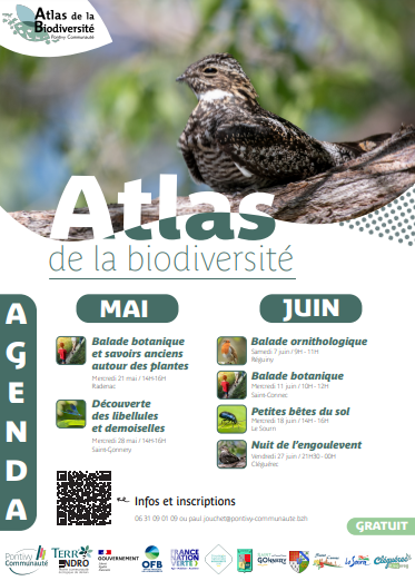 Biodiversité