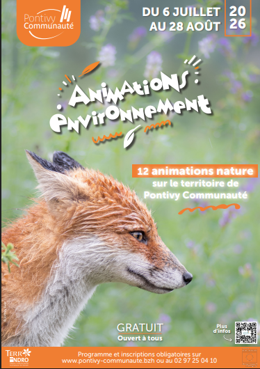 Animations
